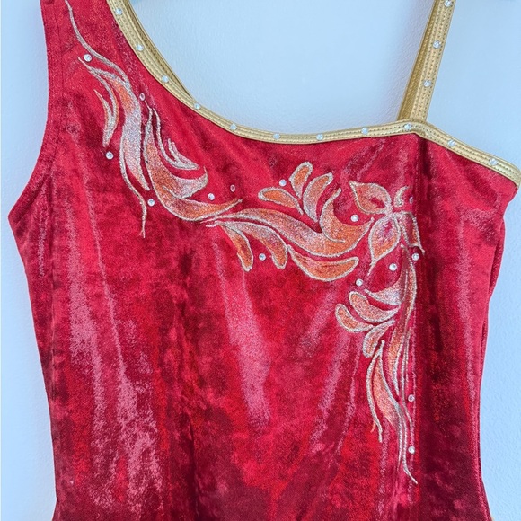 Dance Costume - size Adult medium - Picture 3 of 4